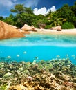 Coral reef and fish at Seychelles Royalty Free Stock Photo