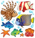 Coral reef fish theme collection 1 Royalty Free Stock Photo