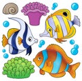 Coral reef fish theme collection 3 Royalty Free Stock Photo
