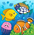 Coral reef fish theme image 9 Royalty Free Stock Photo