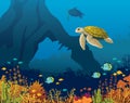 Coral reef, fish, underwater arch, turtle. Royalty Free Stock Photo