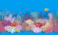 Coral Reef and Fishes Pattern