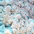 Coral reef with great white sea sponge in tropical sea Royalty Free Stock Photo