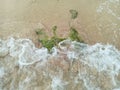 Coral Reef with Green Algae Seaweed and Foamy Waves of the Sea, Scenic White Sand Beach for Vacation, Trip, and Holiday Season