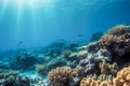 Coral reef and marine life in the Red Sea, Egypt. Generative AI Royalty Free Stock Photo