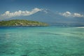 Coral Reef, Menjangan Island