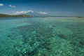 Coral Reef, Menjangan Island
