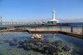 Coral reef near Eilat, Israel Royalty Free Stock Photo