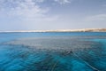 Coral reef in Red Sea near Tiran Island Royalty Free Stock Photo