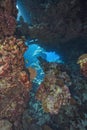 Coral reef in the Red Sea Royalty Free Stock Photo