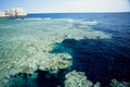 Coral reef sharm el sheik Royalty Free Stock Photo