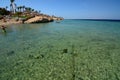 Coral reef. Sharm El Sheikh. Red Sea. Egypt
