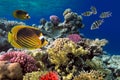 .Underwater Scene With Coral Reef And Exotic Fishes
