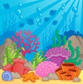 Coral reef theme image 3 Royalty Free Stock Photo