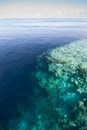 Calm Seas and Coral Reef Dropoff