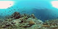 Coral reef and tropical fish underwater. Philippines. 360-Degree view. Royalty Free Stock Photo