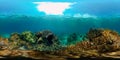 Coral reef and tropical fish underwater. Philippines. 360-Degree view. Royalty Free Stock Photo