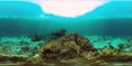 Coral reef and tropical fish underwater. Philippines. 360-Degree view. Royalty Free Stock Photo