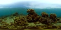 Coral reef and tropical fish underwater. Philippines. Virtual Reality 360 Royalty Free Stock Photo