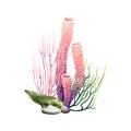 Coral reef underwater composition. Watercolor illustration isolated on white background for clip art, cards, package Royalty Free Stock Photo