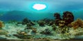 Coral reef and tropical fish underwater. Philippines. 360-Degree view. Royalty Free Stock Photo