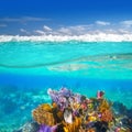 Coral reef underwater up down waterline Royalty Free Stock Photo