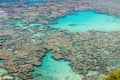 Coral reefs in Hanauma Bay, Hawaii Royalty Free Stock Photo