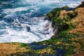 Coral reefs in sunny day