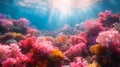 Coral reefs under sea or ocean water Royalty Free Stock Photo