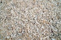 Coral remains on the beach at Thailand. Coral rubble and sand from corals dead washed up on a tropical beach. Holiday, travel and