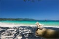 Coral remains on wood timber in beautiful Thailand travel island `Koh Lipe` white sand beach and turquoise sea water with peace cl