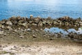 Coral rock seawall divides shore from ocean - Dania Beach, Florida, USA