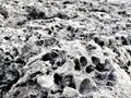 coral rock structures in the sea