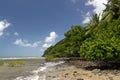 Coral Sea meets Daintree Rainforest