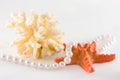 Coral, seastar and rope of pearls Royalty Free Stock Photo