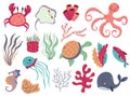 Coral and seaweed. Underwater flora and fauna, cute sea animals, ocean life, marine creatures, laminaria and jellyfish