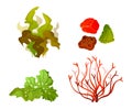 Coral seaweed underwater marine flora silhouette vector set illustration