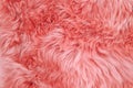 Coral sheepskin rug background sheep fur Wool texture Royalty Free Stock Photo