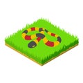 Coral snake icon, isometric style