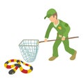 Coral snake icon isometric vector. Young man with landing net near milk snake