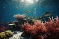 coral spawning event after successful restoration