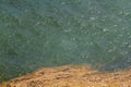 Coral Spawning In The Ocean, Australia