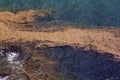 Coral Spawning In The Ocean, Australia