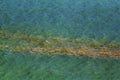 Coral Spawning In The Ocean, Australia