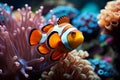 Coral symphony Vibrant clown fish swim amid colorful coral reef