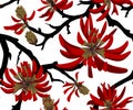 Coral tree Royalty Free Stock Photo