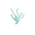 coral, ocean, sea, nature, blue color, watercolour, clipart