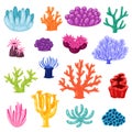 Coral vector sea coralline or exotic cooralreef undersea illustration coralloidal set of natural marine fauna in ocean