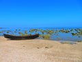 Coral view with boat found in saint martin island. Royalty Free Stock Photo