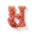 Coral Wood Letter H: Vibrant Floral Ornament Inspired By Hiroshi Nagai